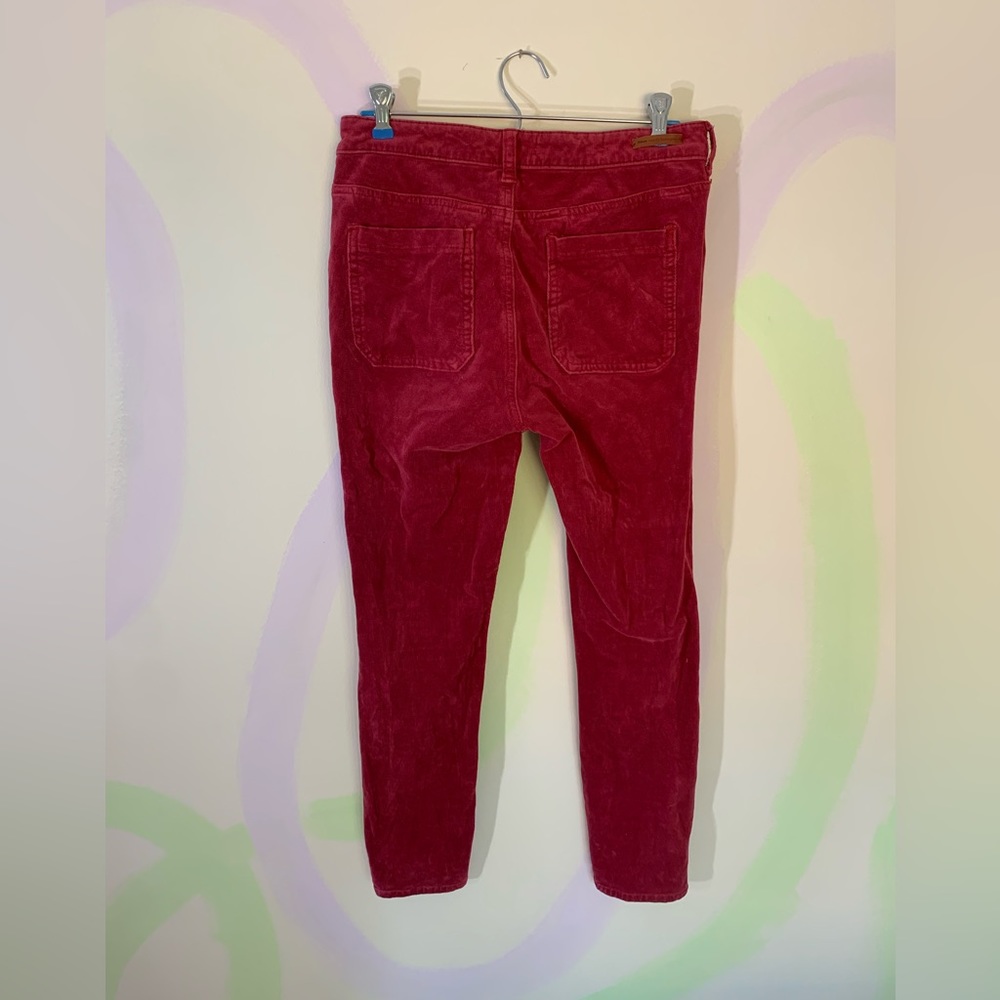 Pilcro and the Letterpress High rise Skinny Cords - Picture 4 of 8